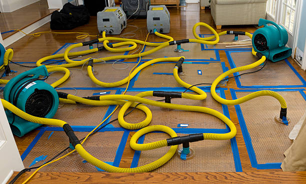 Professional Water Damage Restoration technician working in Adrian, MI